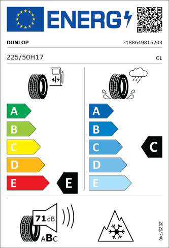 DUNLOP WINTER SPORT 4D